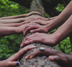 Occupational Therapy